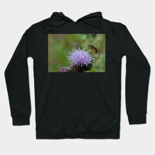 Dance Fly on Thistle Flower Hoodie